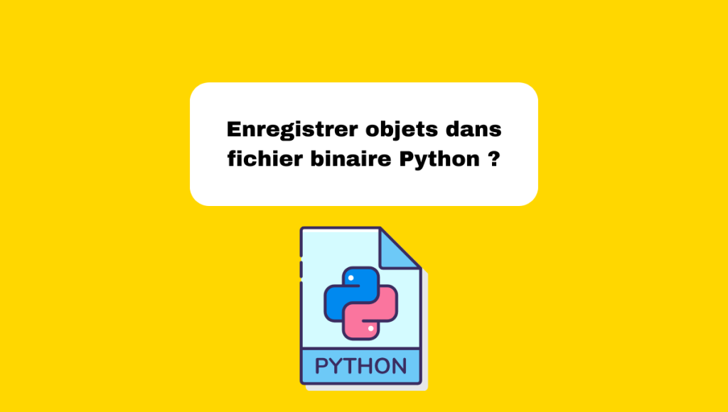 Enregistrer objets dans fichier binaire Python ?